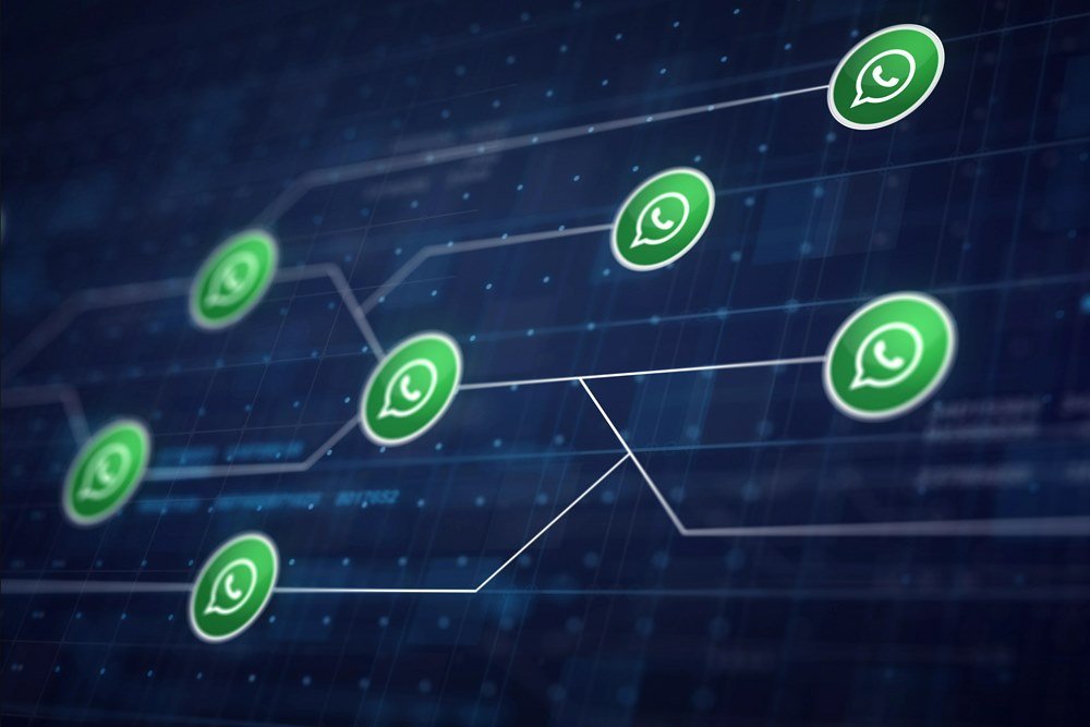 Rear view of a man checking his phone